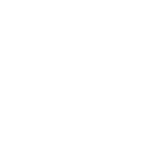 google-logo500